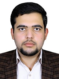 Amirhossein Ghaseminejad-Raeini