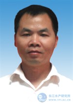 Dengqiang Wang