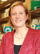 Julie A Williams