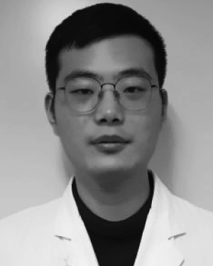 Li Chen