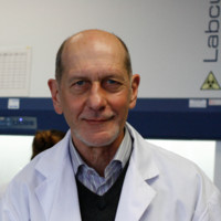 Freddy Haesebrouck