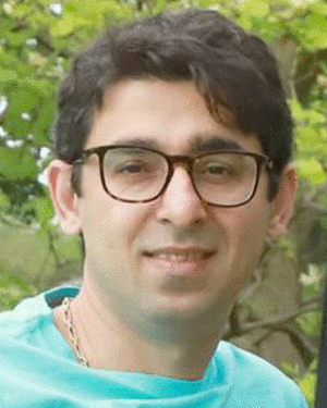 Ali Attaran