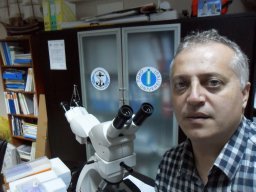 serkan saygun