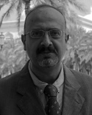 Amr Elnady