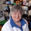 Judith A Johnson