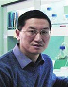 Zheyu Chen