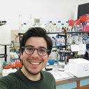 Gianluca Scarcia