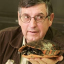 Thomas K Pauley