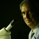 V. Zolesi