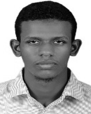M. A Mohammed Eltoum