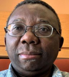 Rotimi Aluko