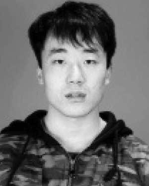 Wentao Li