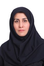 Fereshteh Shakibaei