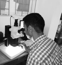 Sajad Hussain Mir