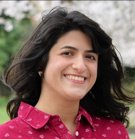 Fereshteh Sadeghi
