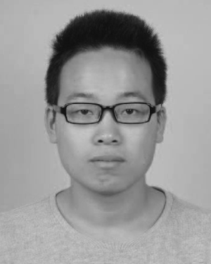Qinlong Wang