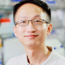 Danli Xie