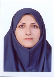 Adeleh Divsalar