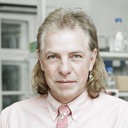 Bernd Schierwater