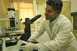Madhunapantula SubbaRao V