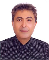 Fariborz Rashidi