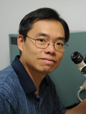 David C. Chan