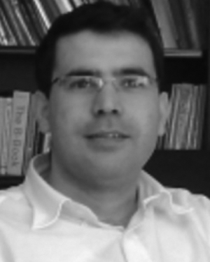 Tewfik Ziadi