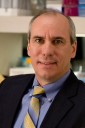 Alan P. Fields