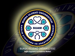 Emel Yilmaz