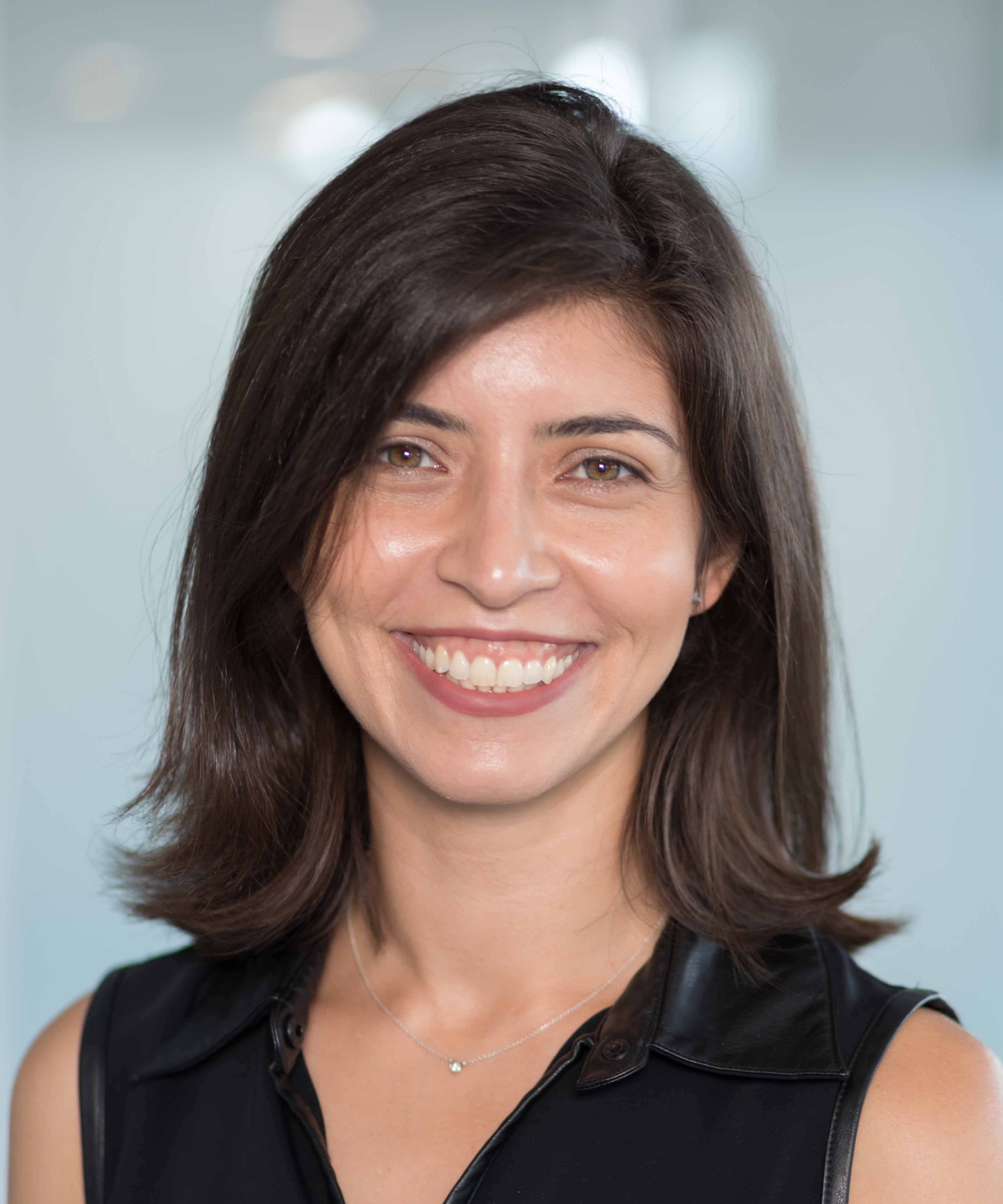 Melis N. Anahtar