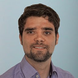 Dario L Frey