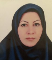 Mehrjerdi Fatemeh Zare