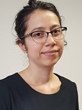 Leidy J Castro-Meneses