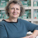 Elizabeth Beech