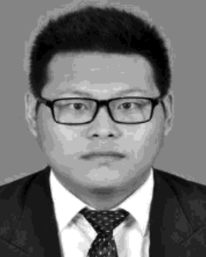 Wenqi Li