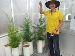 Honglang Duan