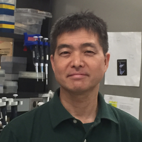 Yasuhiko Kawakami