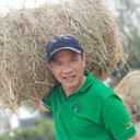 V Hung Nguyen