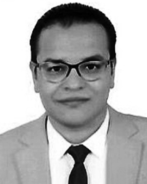 Ahmed Sedik
