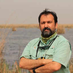 Barbod Safaei-Mahroo