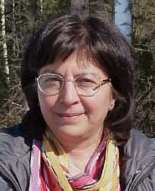 Simin Nadjm-Tehrani
