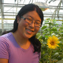 Caitlin Ishibashi