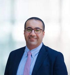 George E Naoum
