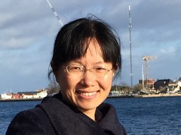 Lijun Shan