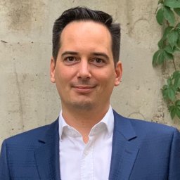 Damir Kapidzic