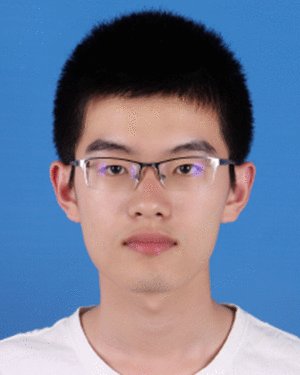 Ziqi Xin