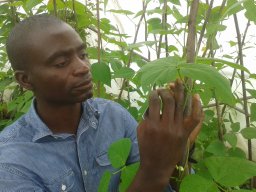 K. Kamfwa