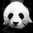 Bo Han