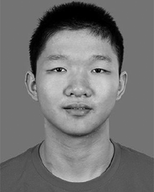 Dinghong Zhong