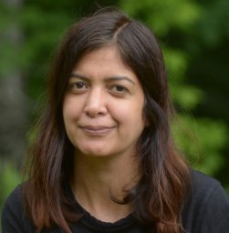 Narges Shahroudi